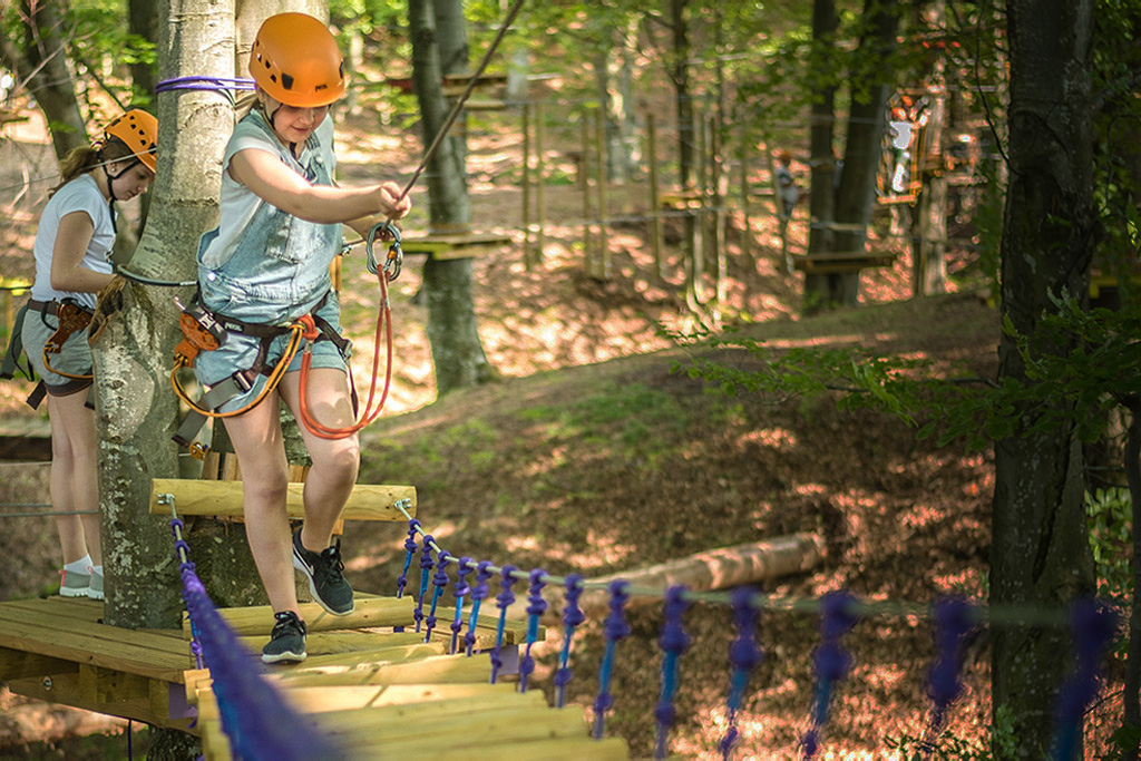 Cariere - fa primul pas!